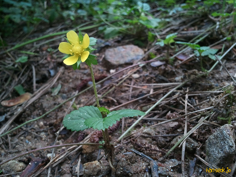 2010-07-19 13.41.20.jpg